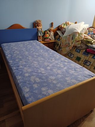 Cama