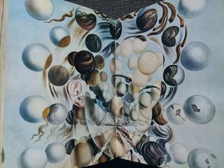LIBRO DE ARTE DALI BY DALI 1970