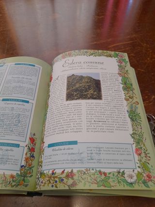 Libro erbe della  salute