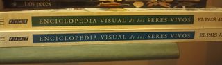 Libri scolastici