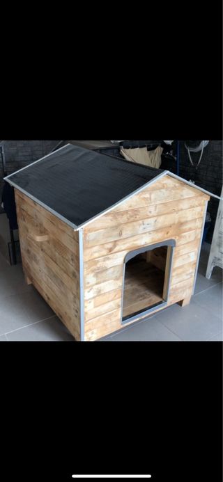 Casas perro