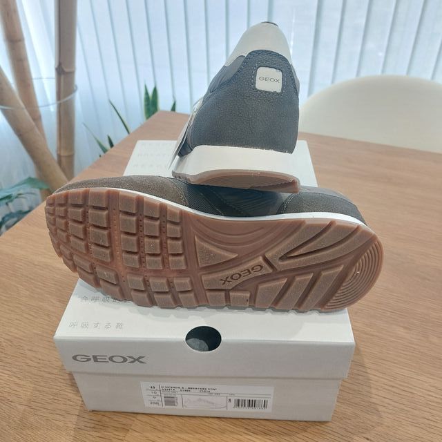 T43 Geox Nuevos Vicenda