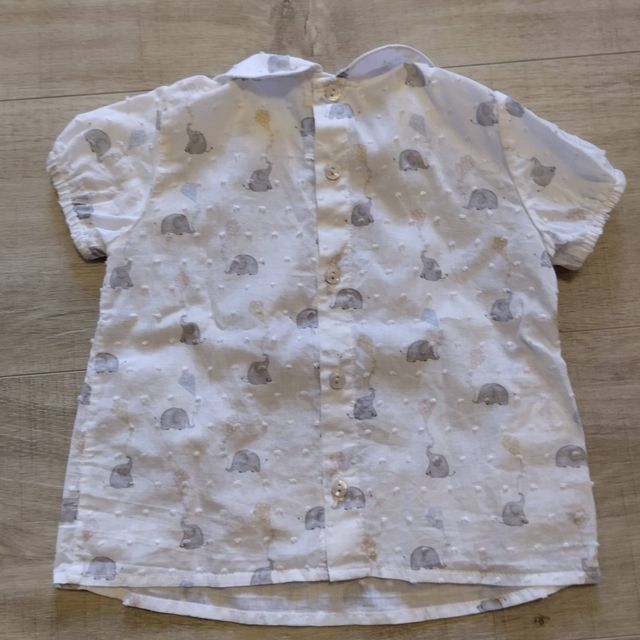 Conjunto verano plumetti elefantes