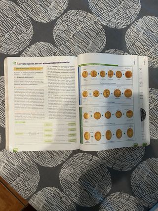 Libro de Biología de 1 de Bachillerato de ANAYA