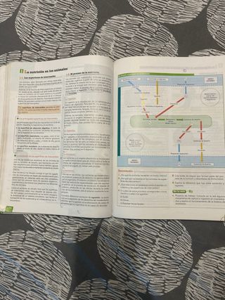 Libro de Biología de 1 de Bachillerato de ANAYA