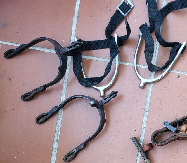 Espuelas doma clásica