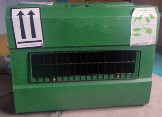 Transportín mascota para avión