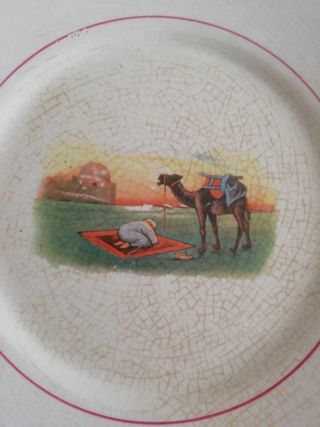 Platos porcelana Pickman