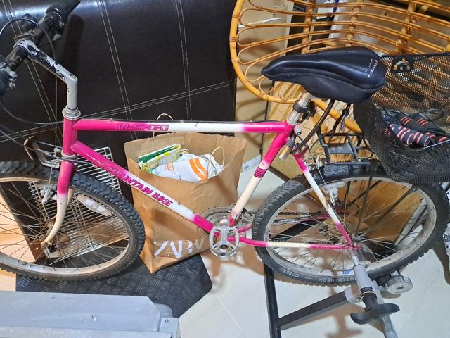 Vicicleta de montaña de adultos