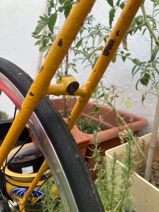 Bicicleta antigua fixie