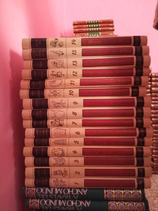 Lote de libros