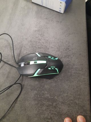 Raton gaming