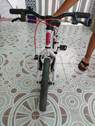 Bicicleta 16'1 con ruedines