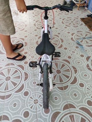 Bicicleta 16'1 con ruedines