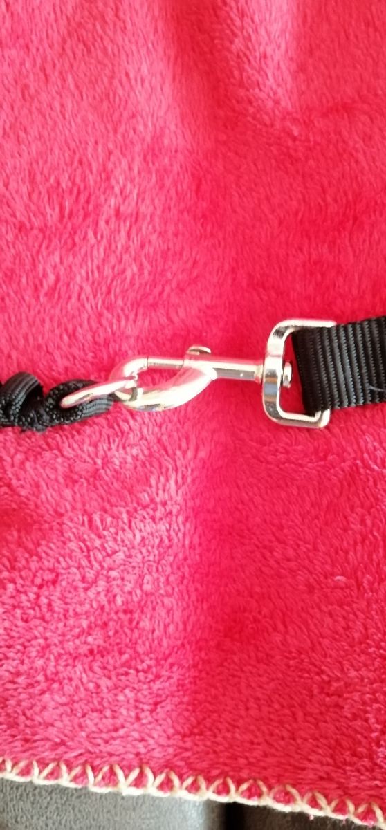 Correa de perro para bicicleta