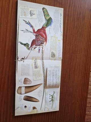 Dinosaurios