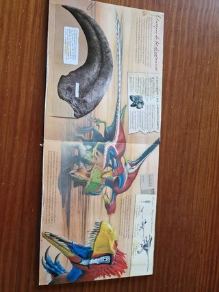 Dinosaurios