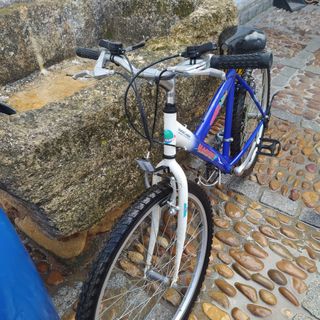 Bicicletas