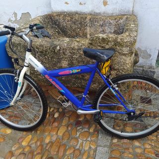 Bicicletas