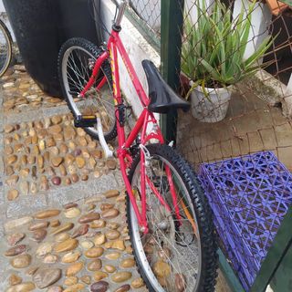 Bicicletas