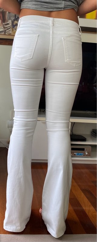 Pantalón Campana Nicoli