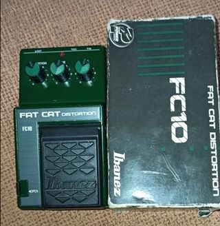 Ibanez Fac Cat FC10, Cambio por guitarra eléctrica