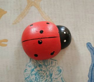 Calamita coccinella 