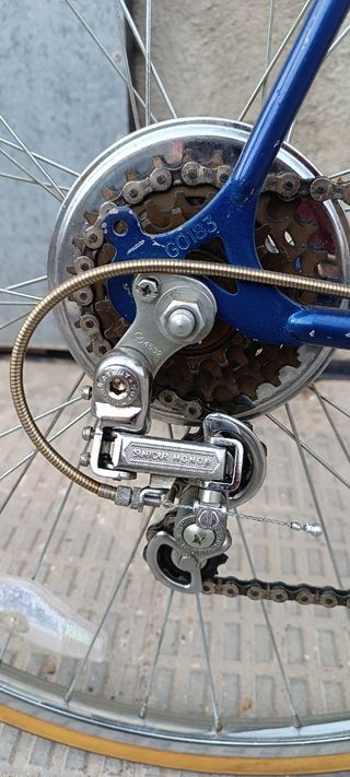 Bicicleta carreras cicle pro