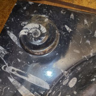 lavamanos de marmol con incrustaciones de fósil