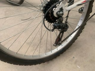 Bicicletas