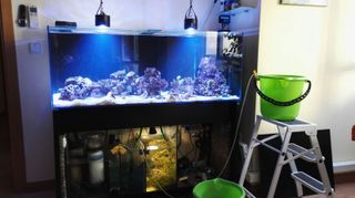 Acuario completo de 325 litros