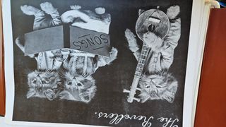 Poster quadri gatti cani animali vari