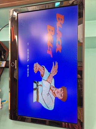 Black belt máster system 2