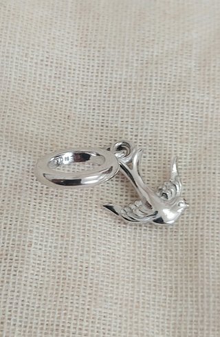 Charm colgante Endless