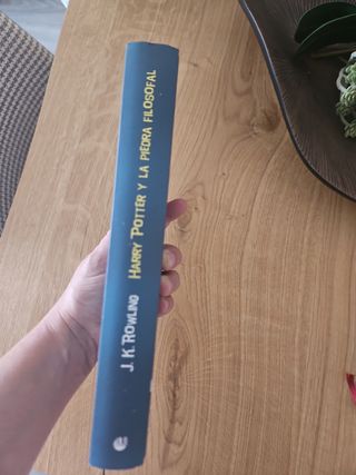 Harry Potter Y La Piedra Filosofal