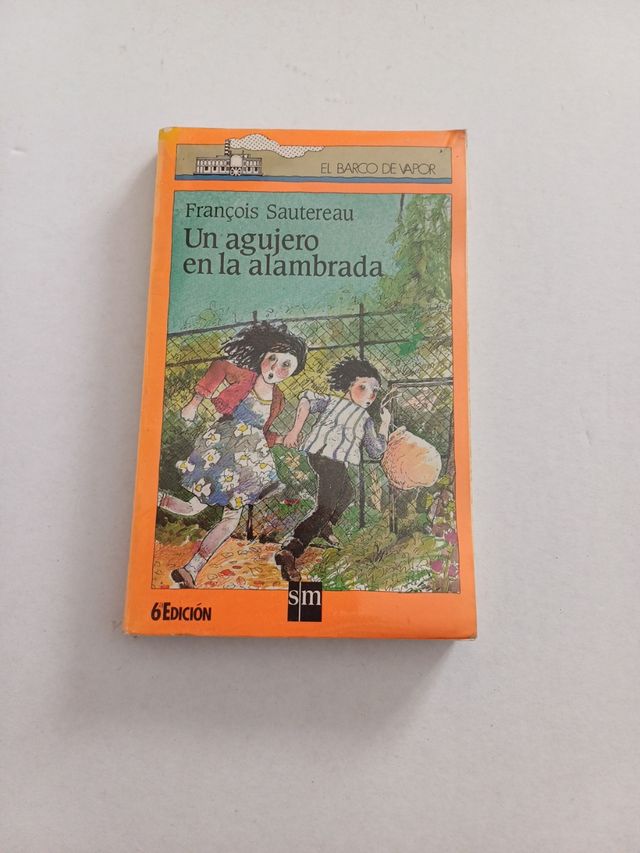 Un agujero en la alambrada - SM