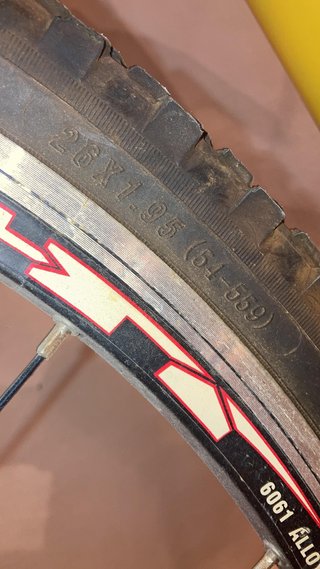 Bici BMA INova