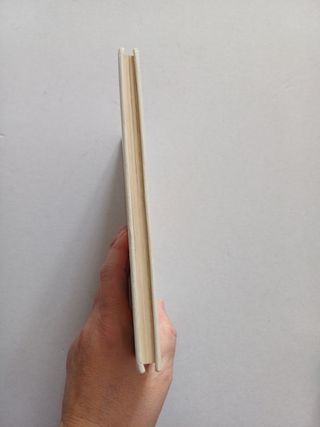 Biblioteca Jóvenes castores-26-