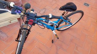 Bicicleta adulto