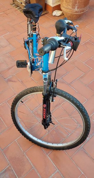 Bicicleta adulto