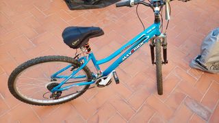 Bicicleta adulto