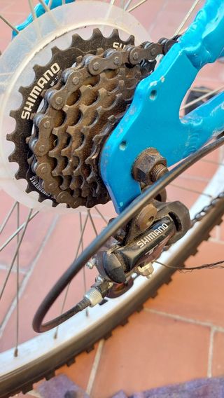 Bicicleta adulto