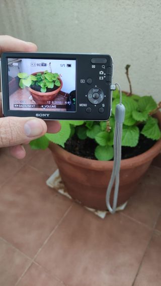 CAMARA DE FOTOS SONY CYBER-SHOT 12,1 MEG