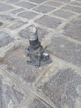 Valvola termostatica.