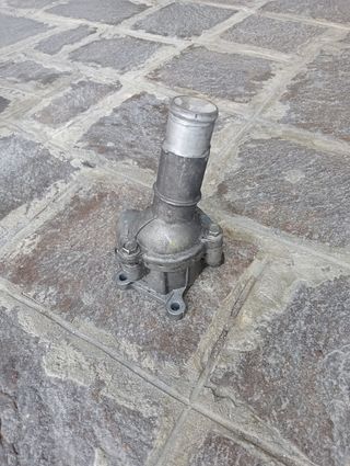 Valvola termostatica.