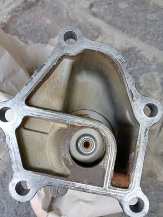 Valvola termostatica.