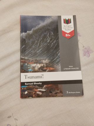 Tsunami! (B1)