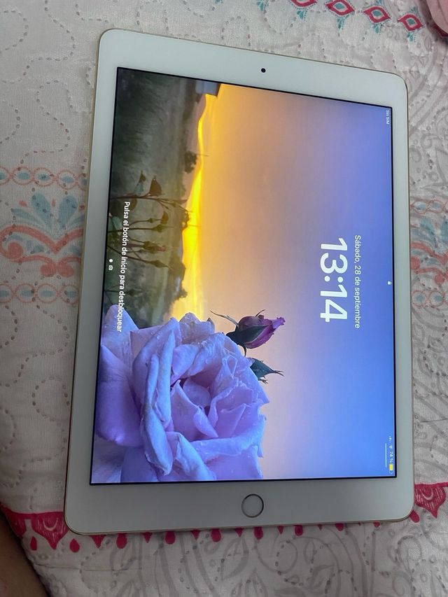 Ipad Pro 9,7 pulgadas
