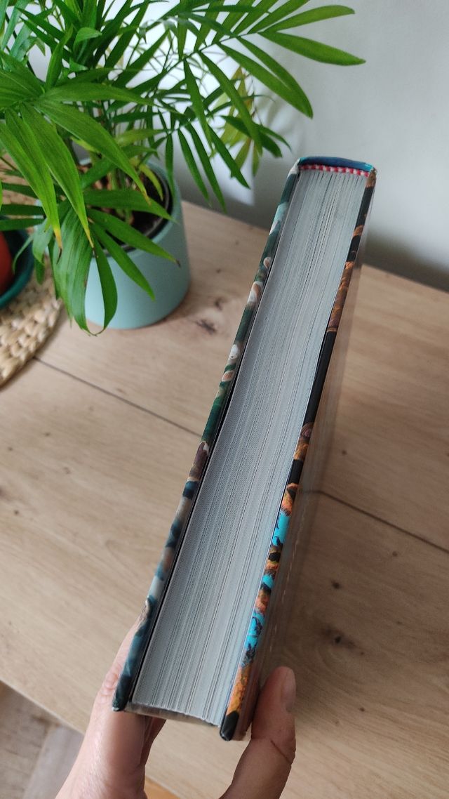 Libro el mundo desde el cielo Susaeta