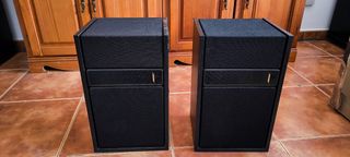 Altavoces Bose 301 serie II más equipo de sonido.